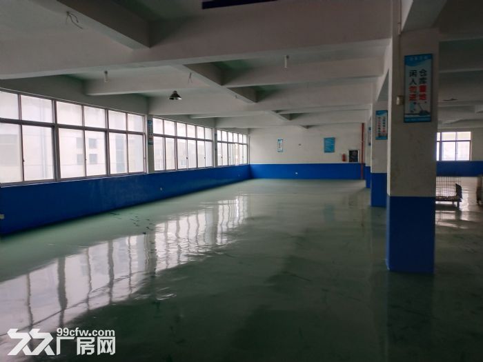 租瓯江口新区全新厂房共30000平可分租全新厂房价格便宜