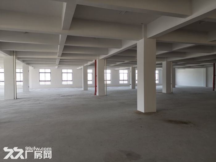 出租滨海一楼1000平楼上2300平可分租电大已腾空适合鞋子等