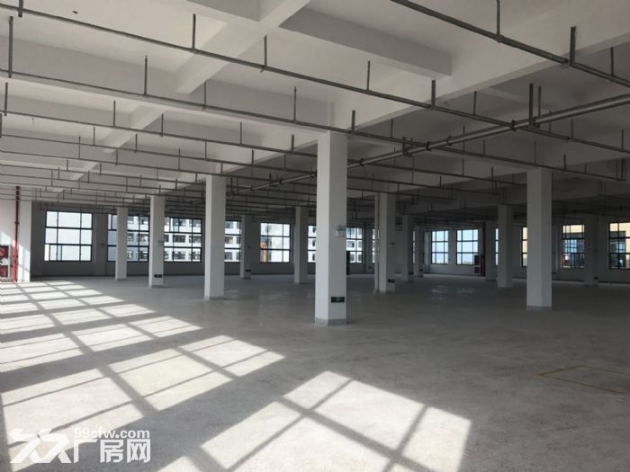 滨海园区1楼1500平米有大院停车方便