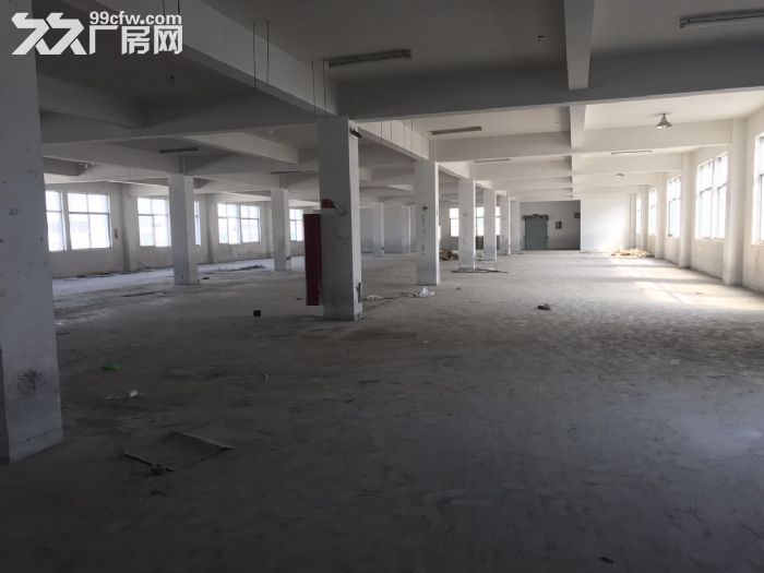 滨海园区楼上1500㎡没有行业限制电50千瓦-图4