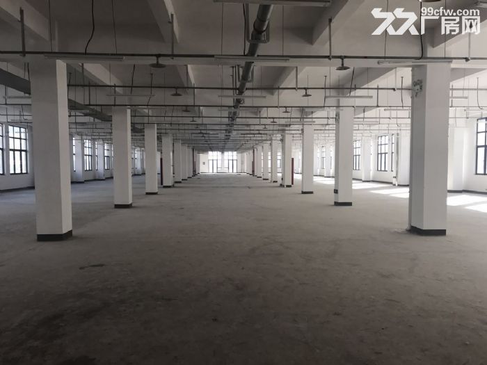 滨海重工厂房3楼4100平高5米18块，合适联系