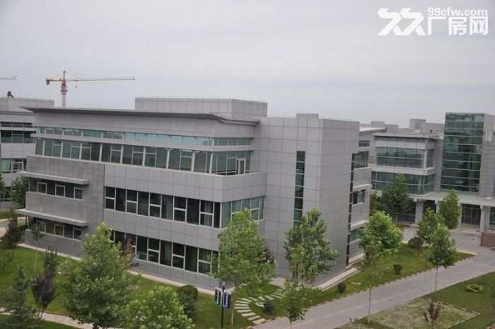 滨海工业区独门独院13000㎡可分租没有行业限制