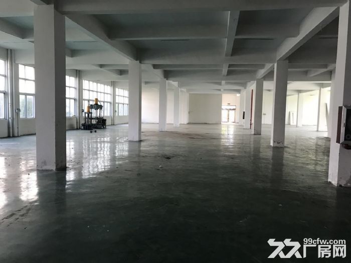 滨海工业区独门独院13000㎡可分租没有行业限制-图2