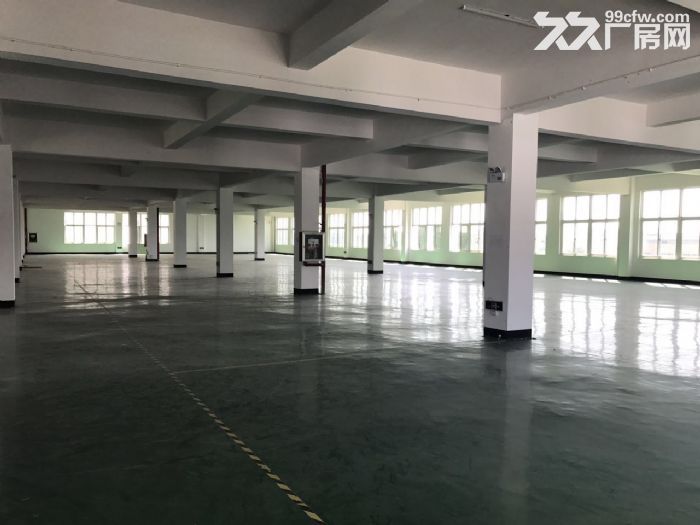 滨海工业区独门独院13000㎡可分租没有行业限制-图3