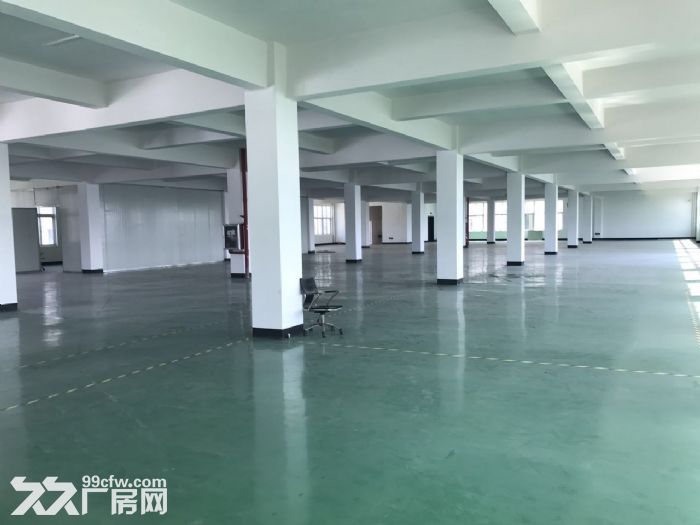 滨海工业区独门独院13000㎡可分租没有行业限制-图4