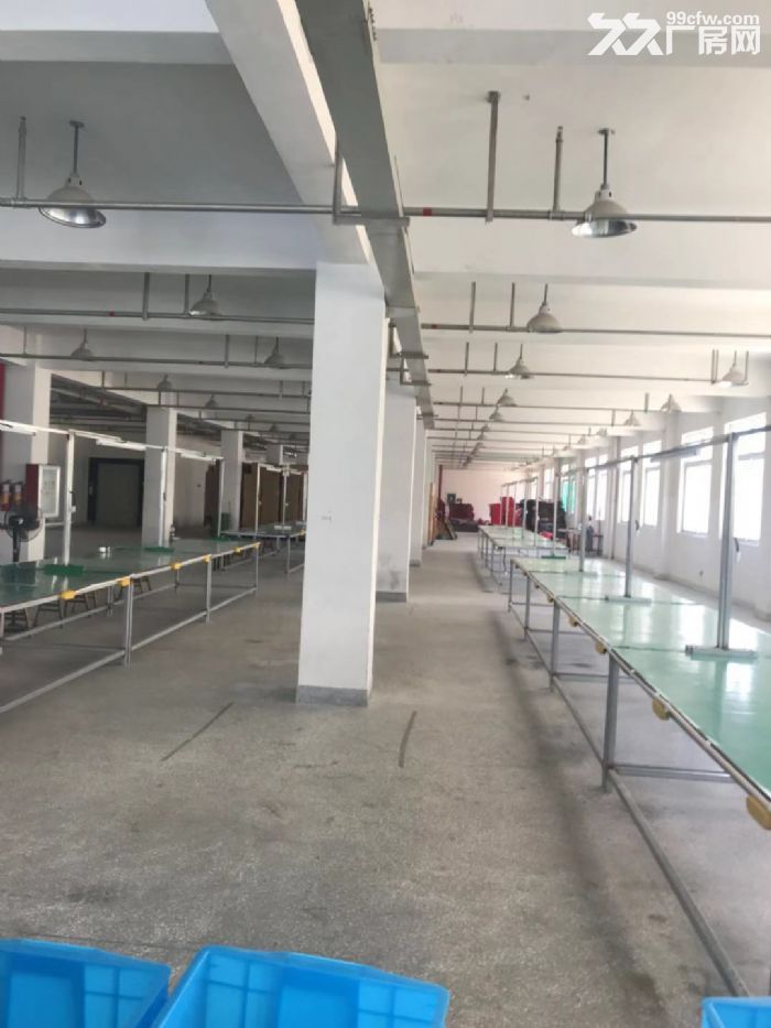 炬光园工业区厂房6000平米出租价格非常便宜。-图5