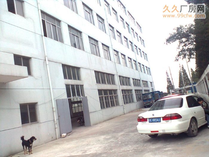 瓯海梧田全新厂4000−2万平方标准厂房院子大2