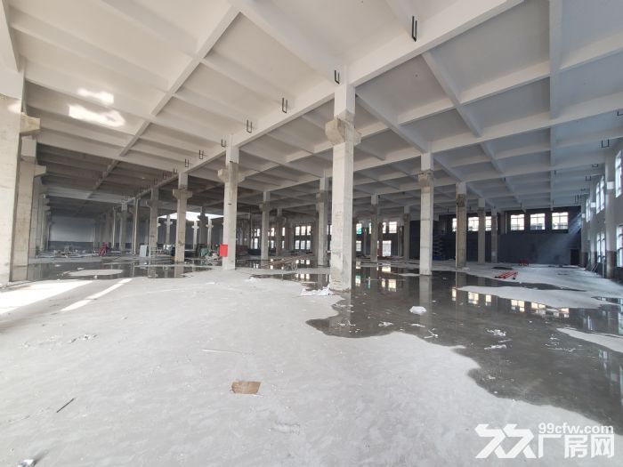 全新 20000平米厂房出租-图3