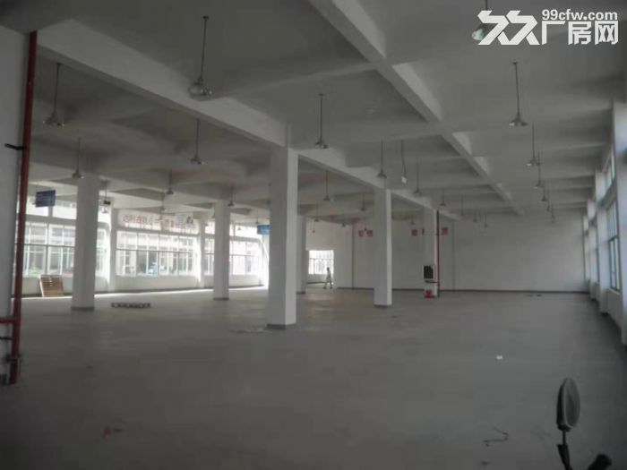 平阳鳌江标准厂房仓库出租