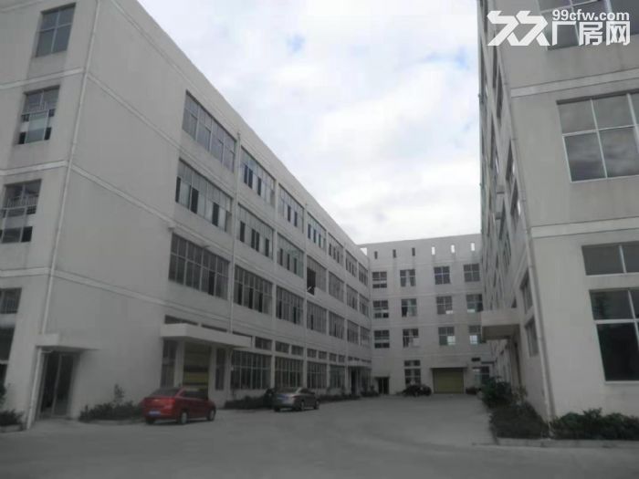 平阳鳌江标准厂房仓库出租-图3