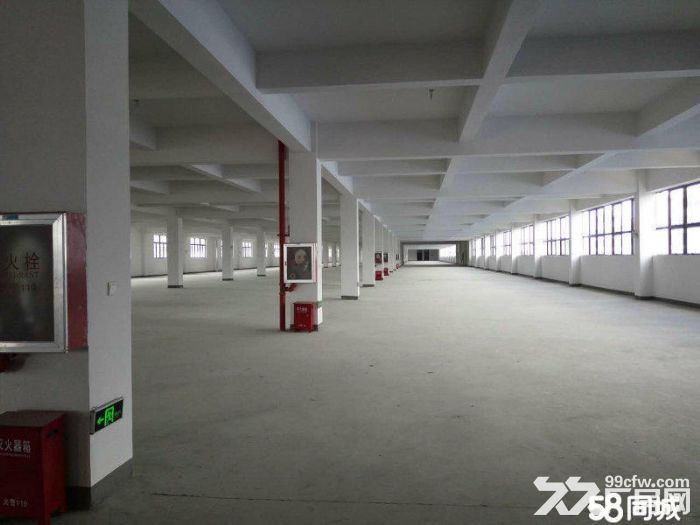 出租滨海独门独院3000平方马上可以用适合各种行业