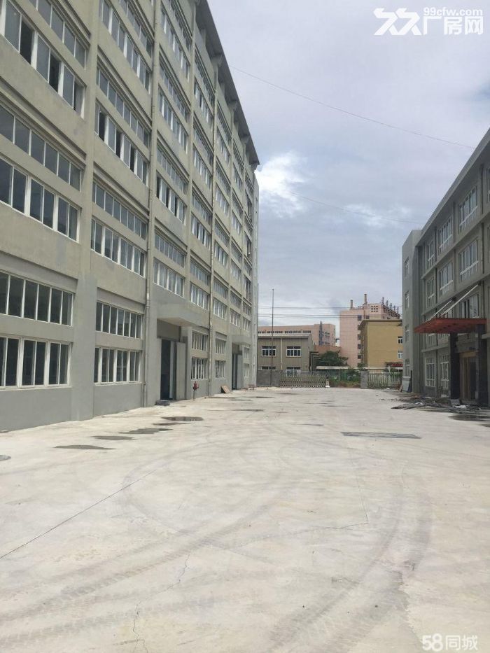 瑞安塘下北工业区一楼厂房1000平米出租高度6米