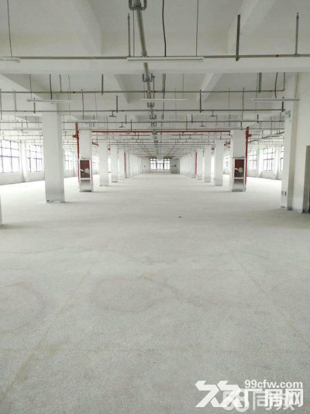 滨海园区9000平方独门独院厂房出租