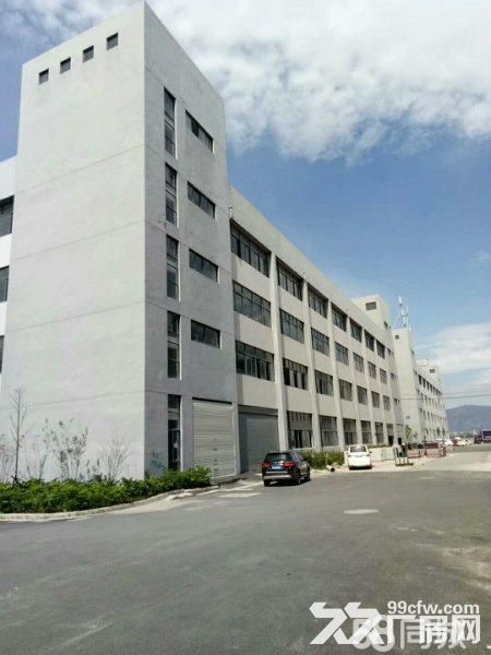 滨海园区9000平方独门独院厂房出租-图2