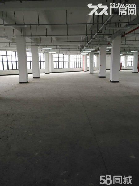 滨海厂房出租2100平方一二楼，一楼高度7米可做标准件-图2