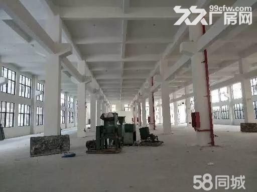 30000平方滨海开发区独门独院厂房出租，可分租