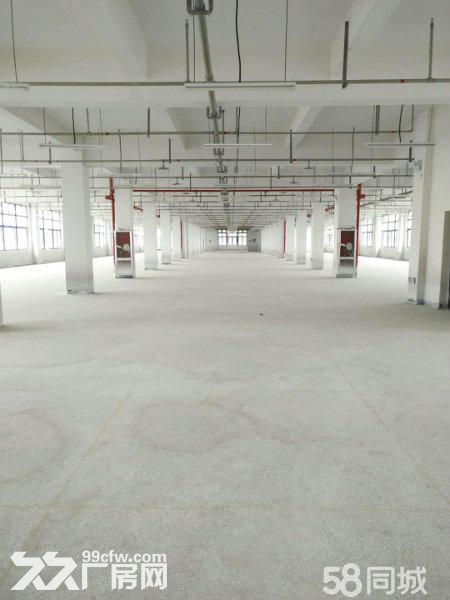 30000平方滨海开发区独门独院厂房出租，可分租-图2