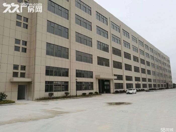 30000平方滨海开发区独门独院厂房出租，可分租-图3