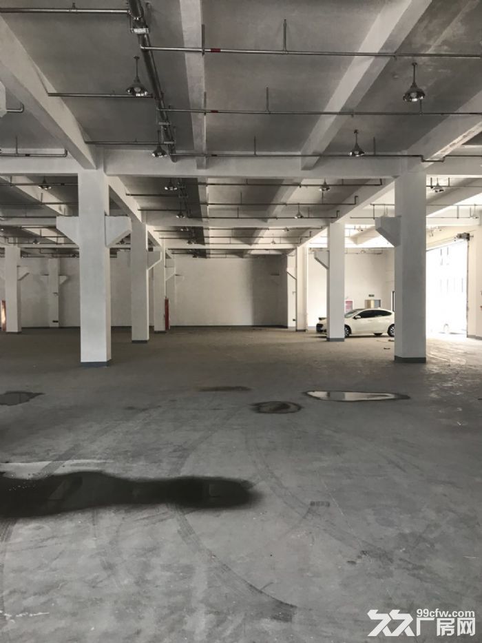 福鼎工业区厂房8000平米出租独门独院适合各种行业。-图3