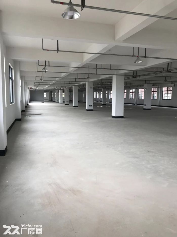 福鼎工业区厂房8000平米出租独门独院适合各种行业。-图5