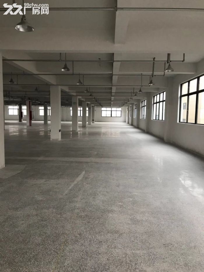 泽雅工业区厂房12000平米出租一栋车间一栋宿舍适合各种行业。-图3