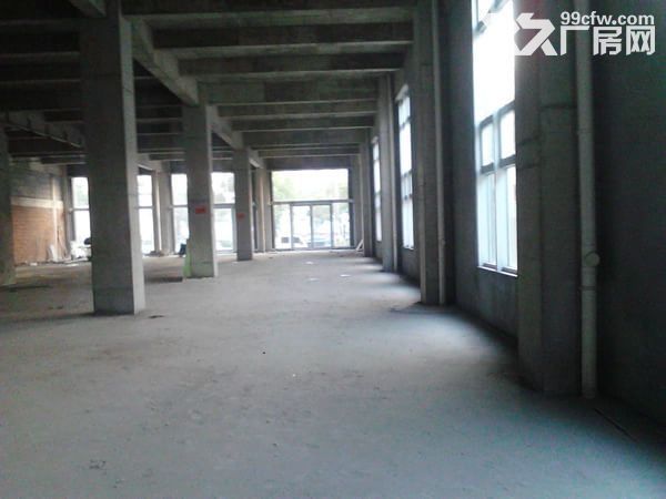 急租瓯海梧田开发区2.5亩.3000平方-图2