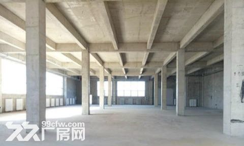 永嘉工业区800仓库&minus;新厂房12000平方-图2