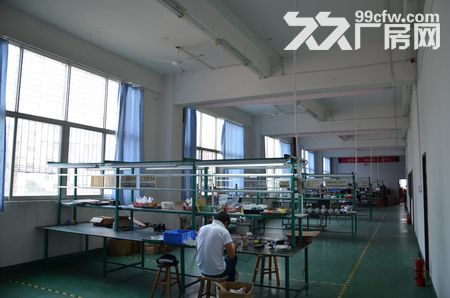 永嘉工业区800仓库&minus;新厂房12000平方-图3