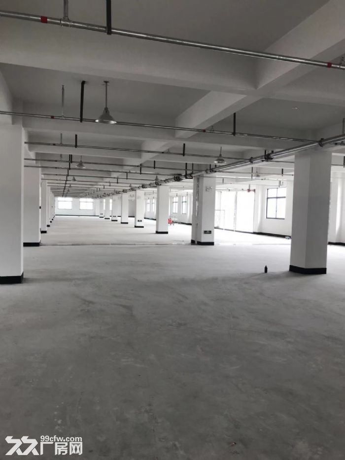 塘下北工业区厂房1500平米3000平米出租-图3