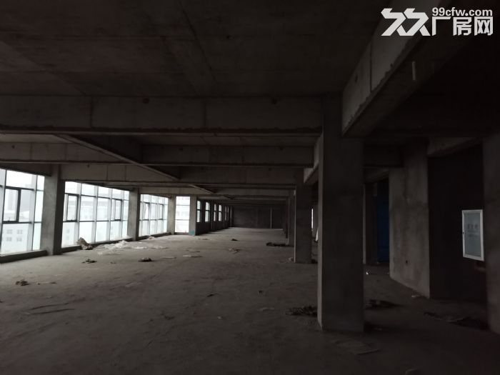 厂房出租，龙湾滨海独门独院1楼1500平米，高8米，有行车货梯，电大，宜多行业-图3