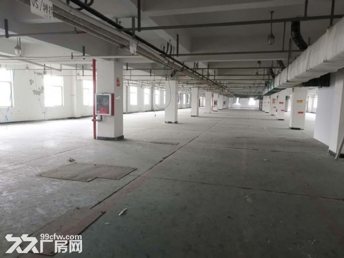 厂房出租龙湾金海1楼900平方，高5米，有行车，有货梯，电大，适合多行业