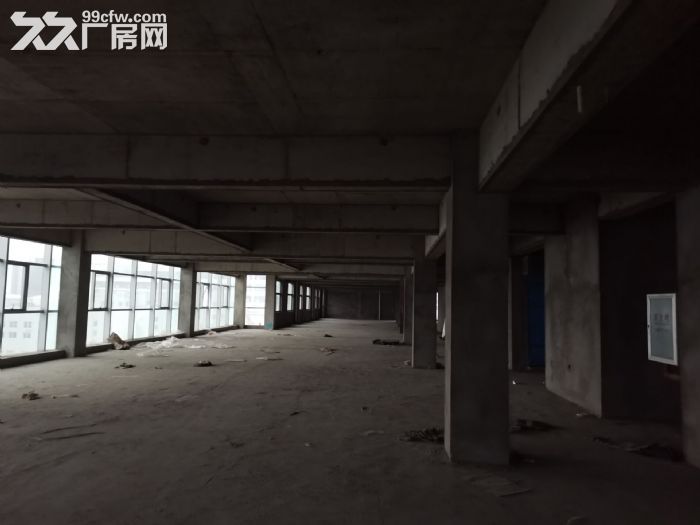 出租龙湾滨海厂房2楼1900平高4米，适合服装，鞋，印刷，小阀门，数控，小配件，-图4