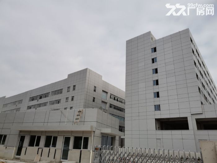 厂房出租龙湾滨海楼上2800平米，要产值，宜多行业