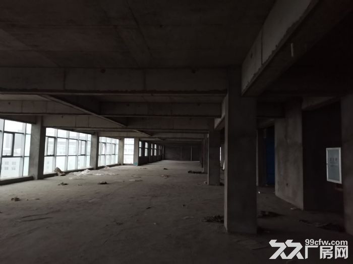 厂房出租龙湾滨海楼上2800平米，货梯2吨，电大，适合阀门，机械，五金，数控，小-图3