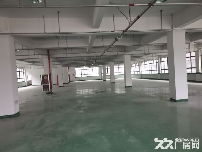 厂房出租龙湾滨海，6300平，适合五金，磨具锁注塑，汽配，卫浴，服装鞋，各行各业-图7