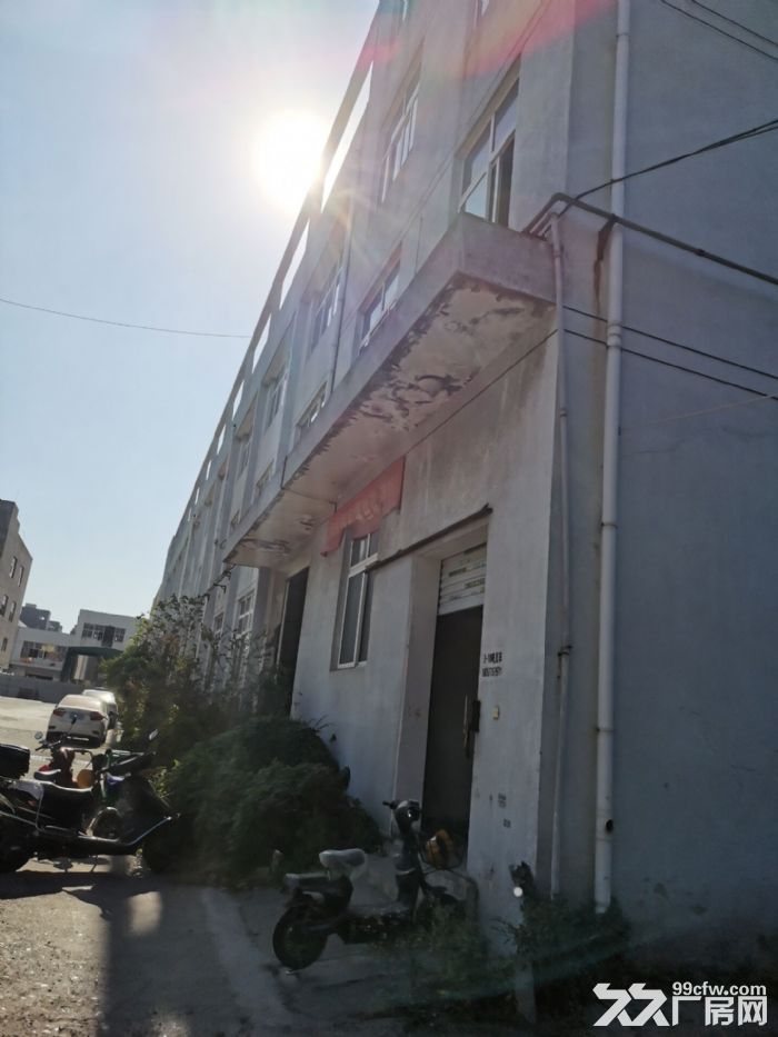 厂房出租龙湾滨海十五路一楼900平米，电大，有货梯，适合多行业-图4