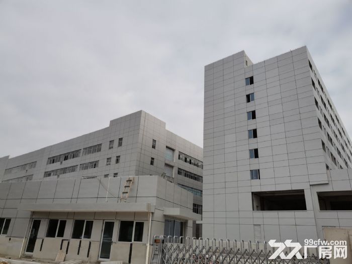 厂房出租龙湾滨海十五路一楼900平米，电大，有货梯，适合多行业-图3