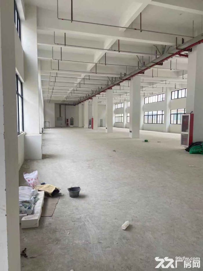 厂房出租龙湾滨海1500平米，有货梯，电大，适合多行业-图2