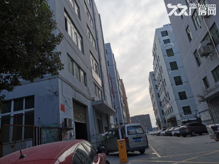 厂房出租滨海，中港小薇园5楼800平米，适合多行业