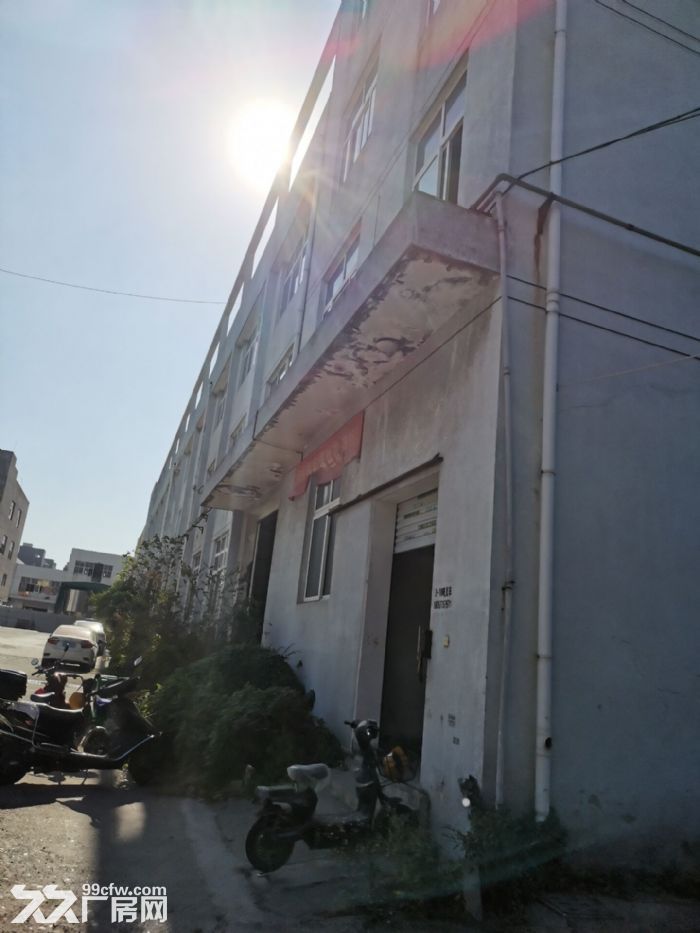 厂房出租滨海，中港小薇园5楼800平米，适合多行业-图6