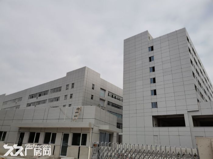 厂房出租滨海，中港小薇园5楼800平米，适合多行业-图8