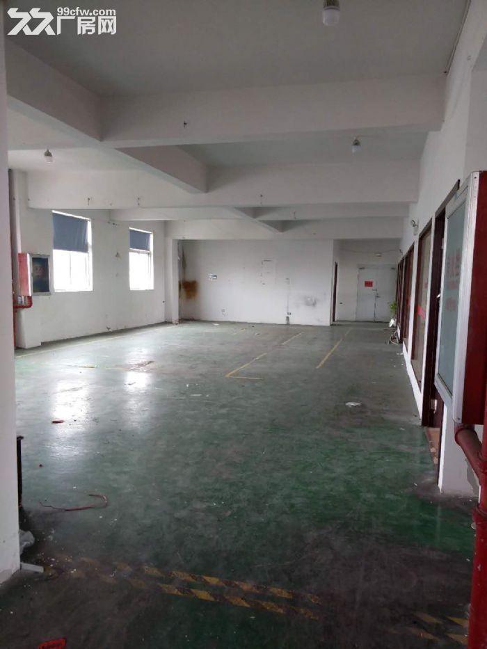 厂房出租龙湾滨海十五，一楼310平米，电大，有货梯，适合多行业
