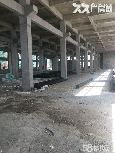 滨海大路边独门独院4100平高7米带行车