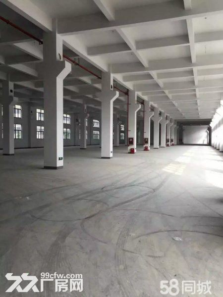 滨海独门独院4400平方出租适合各种行业1楼高8米