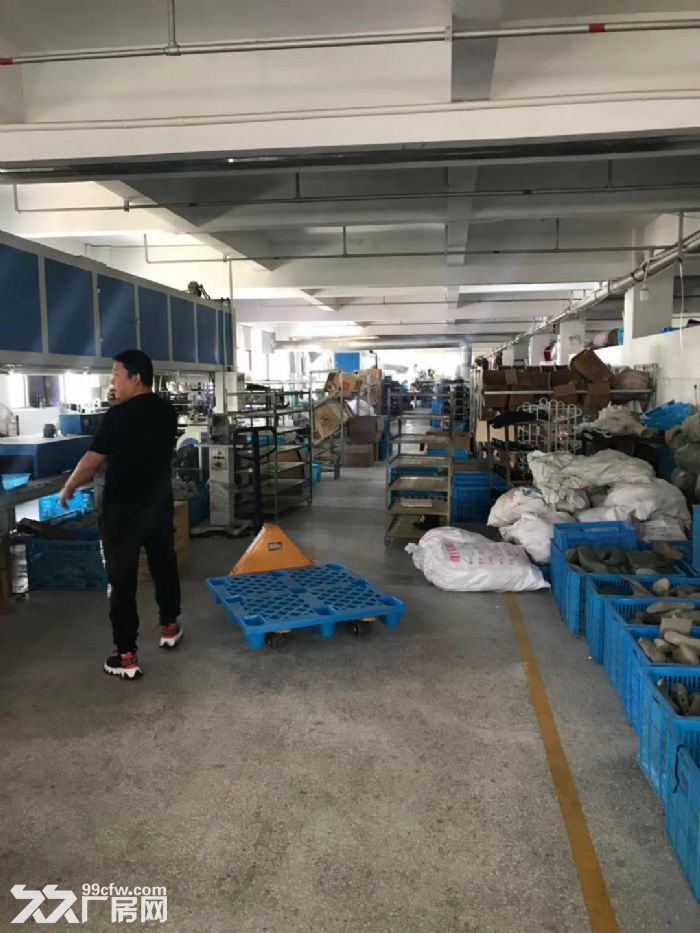 瑞安东新工业区厂房2500平米出租适合鞋服，汽摩配，电商淘宝等各种行业位置好。-图3