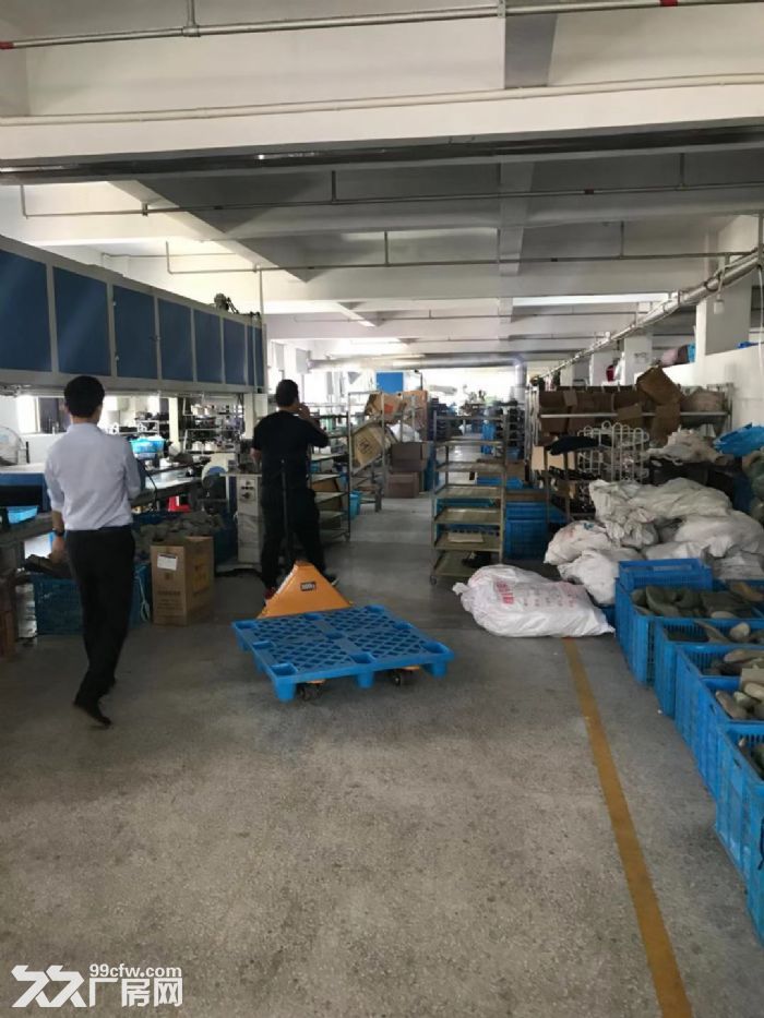 瑞安东新工业区厂房2500平米出租适合鞋服，汽摩配，电商淘宝等各种行业位置好。-图4