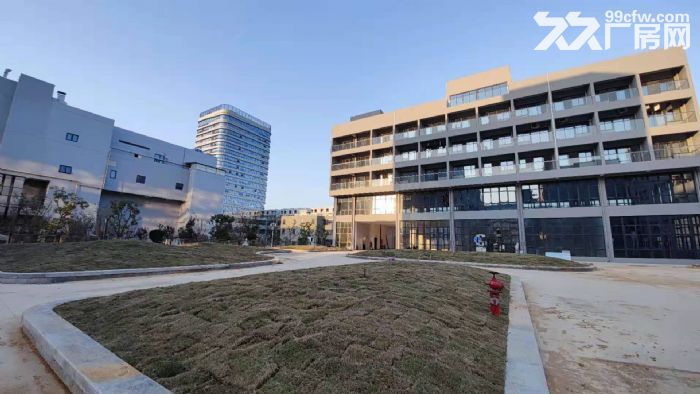 全新超大长厂房出租！商业中心位置，价格优惠！-图4