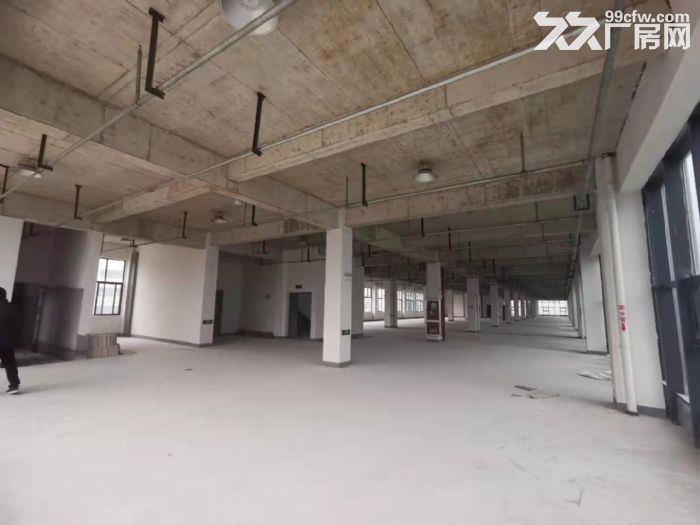 全新超大长厂房出租！商业中心位置，价格优惠！-图7