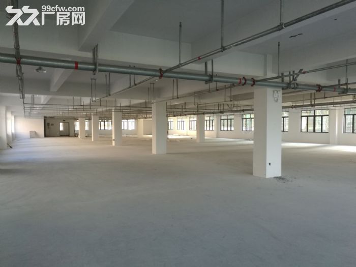 炬光园工业区1楼10000平方厂房出租，可分租