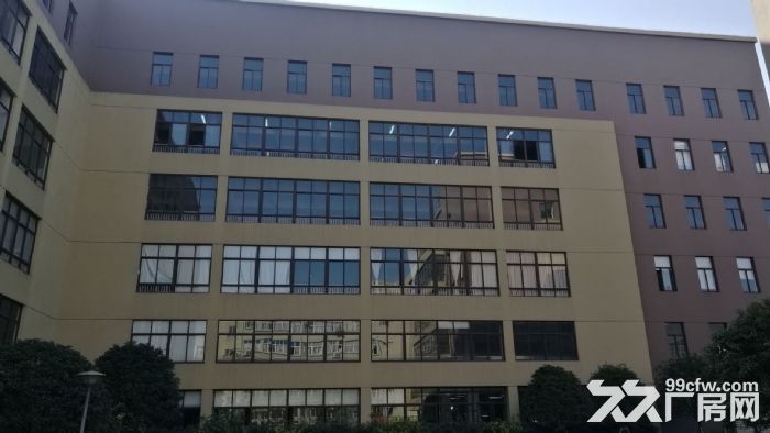 炬光园工业区1楼10000平方厂房出租，可分租-图2